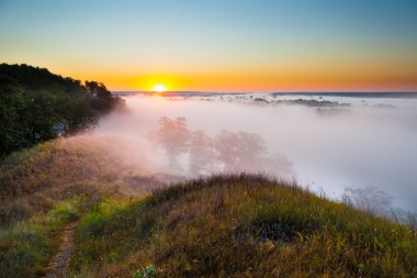 Hill Valley ve orman puslu şafak