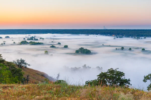 Neblige Morgendämmerung über Tal und Wald — Stockfoto