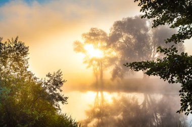 Misty dawn ve bir nehir tarafından ağaçlarının silhouettes
