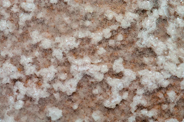 Сухая морская соль на пляже — стоковое фото