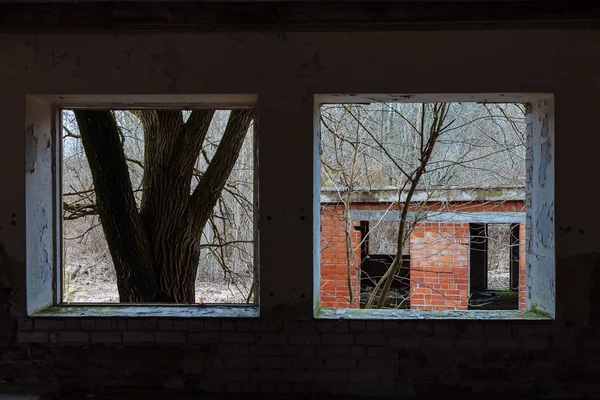 Visa från fönstret i ett övergivet hus — Stockfoto