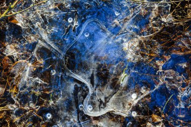 Desen buz orman Creek