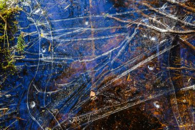 Desen buz orman Creek