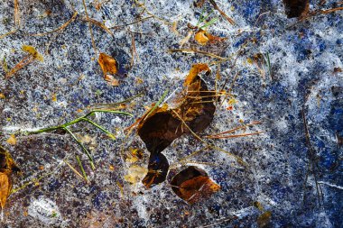 Desen buz orman Creek