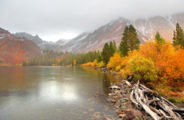 Sierra Dağları Nevada