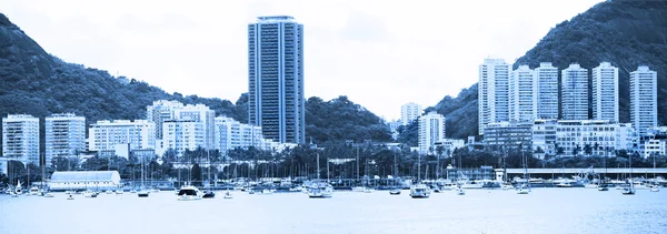 Panoramisch uitzicht op Rio de Janeiro in zwart-wit — Stockfoto