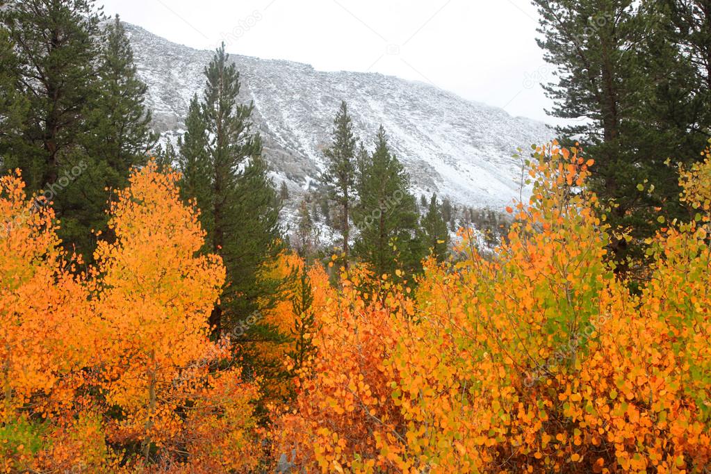 Sierra mountains Nevada