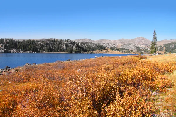 Park Narodowy Yellowstone — Zdjęcie stockowe