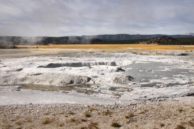 Norris geycer havzasında Yellowstone Milli Parkı
