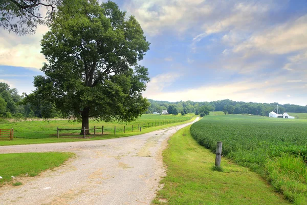 Rural landscape in Indiana — Stock Photo, Image