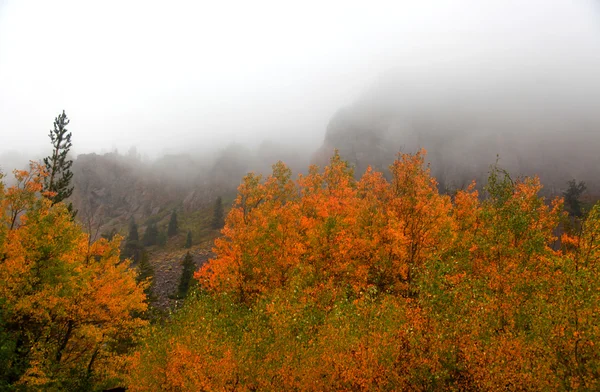 Wolk bedekte bergen van de Sierra — Stockfoto