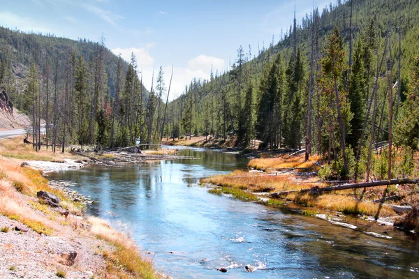 Yellowstone річки восени — стокове фото