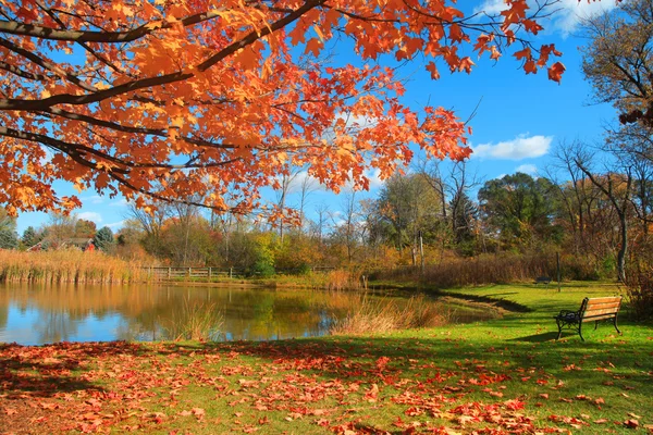 Herfst landschap in Michigan — Stockfoto