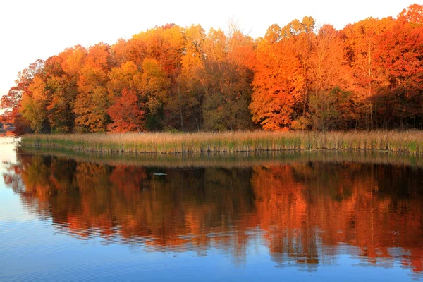 Luminosi alberi autunnali rossi lungo il fiume — Foto Stock