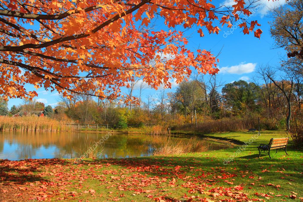 Autumn Scenery in Michigan — Stock Photo © snehitdesign #124352712