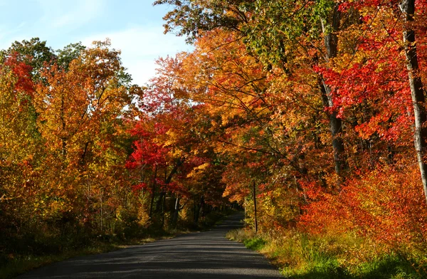 Schilderachtige herfst rijden — Stockfoto