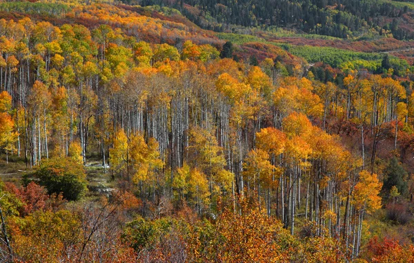 Colorado rocky mountains — Stock Photo, Image