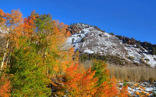 Mount Emerson in de bergen van de Sierra — Stockfoto