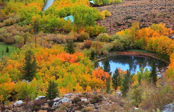 Tal im Herbst in den kalifornischen Sierra-Bergen — Stockfoto