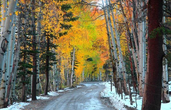 Camino cubierto de nieve rural — Foto de Stock