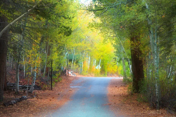 Weg in de vroege herfst tijd — Stockfoto