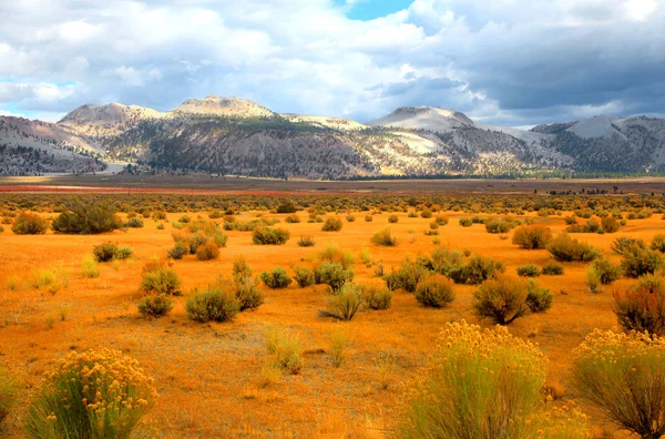 Eastern Sierra mountains — Stock Photo, Image