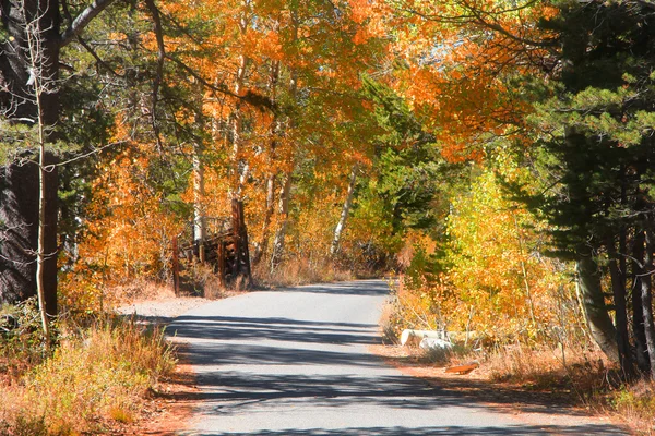 Rural autumn drive — Stock Photo, Image