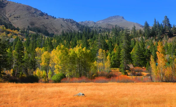 Hope Valley landskapet — Stockfoto