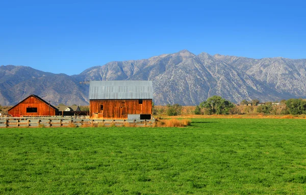 Barn in Nevada — Stock Photo, Image