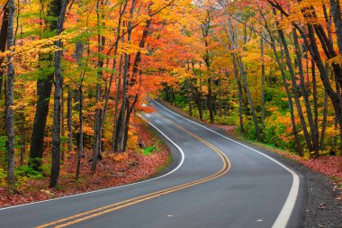Michigan yarımadasındaki Keweenaw yarımadasındaki M41 manzaralı yol boyunca sonbahar zamanı ağaç tüneli.