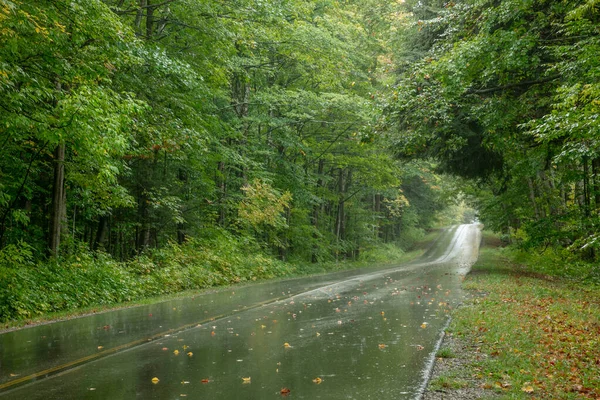 Tunnel Trees Scenic Byway 119 Harbor Springs Michigan — Stock Photo, Image