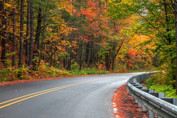 Michigan Yarımadasında Manzaralı Orman Yolunda Renkli Sonbahar Ağaçları — Stok fotoğraf