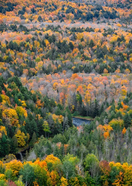 Vista Aérea Natureza Selvagem Torno Greys Creek Península Superior Michigan — Fotografia de Stock