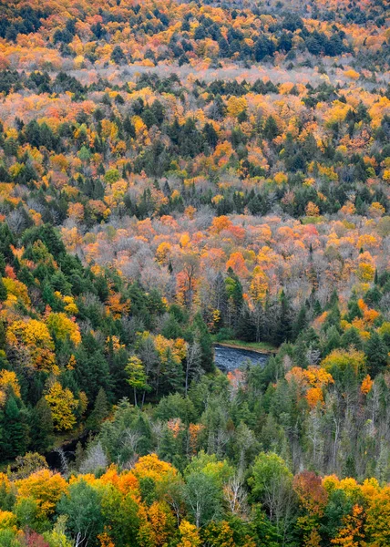 Luchtfoto Van Wildernis Rond Greys Creek Michigan Bovenste Schiereiland Van — Stockfoto