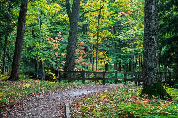 Kleine Brug Natuurpad Presque Isle State Park Michigan Bovenste Schiereiland — Stockfoto