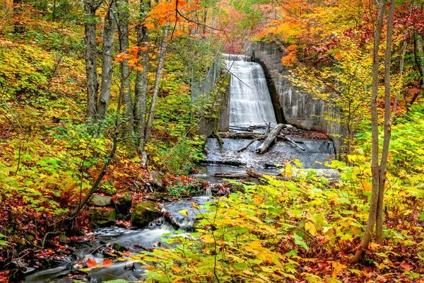 Lower Hungarian Falls Michigan Upper Peninsula Hancock City Surrounded Fall — Stock Photo, Image