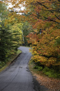 Michigan yarımadasında Brock yolu boyunca renkli sonbahar ağaçları var.