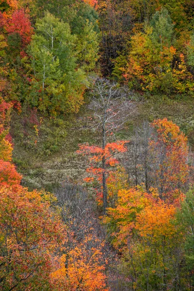 Vista Aérea Árvores Outono Coloridas Pico Cobre Península Superior Michigan — Fotografia de Stock