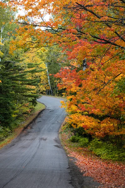 Michigan Yarımadasında Brock Yolu Boyunca Renkli Sonbahar Ağaçları Var — Stok fotoğraf