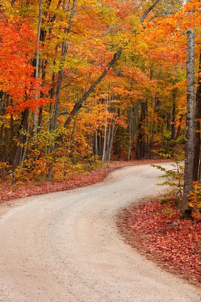 Kleurrijke Herfstbomen Aan Kronkelende Landelijke Weg Michigan Bovenste Schiereiland Platteland — Stockfoto