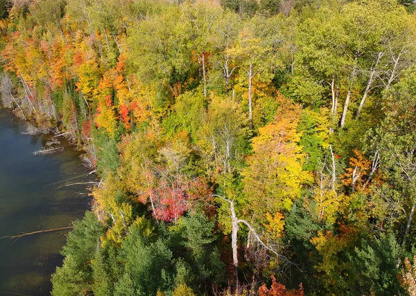 Вид Висоти Озеро Вище Берега Осінніми Деревами Верхньому Півострові Мічиган — стокове фото