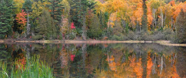 Panoramic View Autumn Tree Reflections Little Beaver Lake Pictured Rocks — Stock Photo, Image