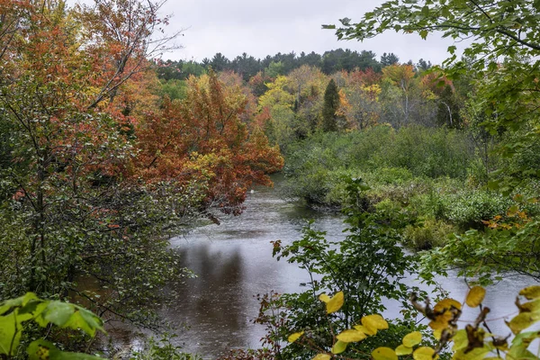 Φθινοπωρινά Δέντρα Κατά Μήκος Του Νεκρού Ποταμού Στο Michigan Ανώτερη — Φωτογραφία Αρχείου