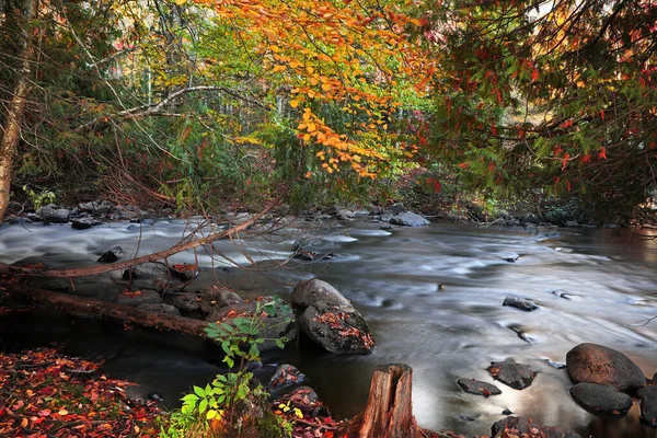 Running Water Ontanogon River Michigan Upper Peninsula Autumn Time — Stock Photo, Image