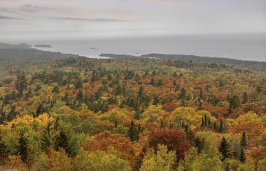 Michigan 'daki Superior Gölü boyunca sonbahar fayanslarında renkli ağaçların halısı.