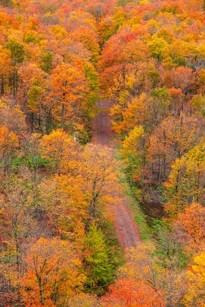 Vue Aérienne Feuillage Automne Coloré Par Route Rurale Dans Péninsule — Photo