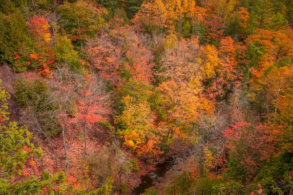 Aerial Shot Colorful Fall Foliage Hammell Creek Michigan Upper Peninsula — Stock Photo, Image