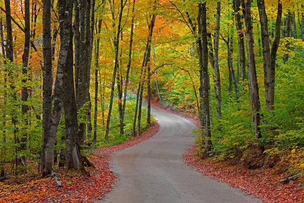 Árvores Outono Coloridas Longo Estrada Sinuosa Península Superior Michigan Perto — Fotografia de Stock