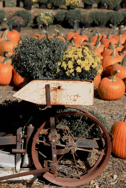 Gammal Rostig Vagn Med Blomkrukor Pumpa Gården — Stockfoto