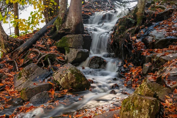 Kleine Watervallen Bij Middle Branch Ontonagon Rivier Michigan Bovenste Schiereiland — Stockfoto